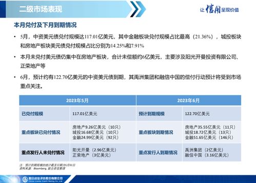 中資美元債市場信息月報(bào)（2023年5月） 一級市場發(fā)行繼續(xù)低迷，二級市場表現(xiàn)保持分化